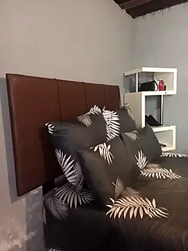 Snapshot of Sashantuping chatting on February 17, 2026, 12:24 pm Sashantuping online show from February 17, 2026, 12:24 pm