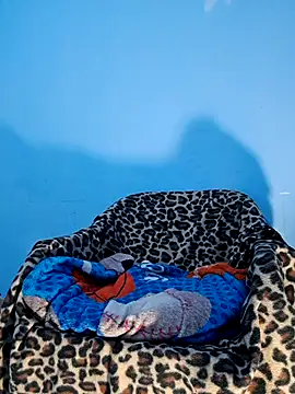 Snapshot of charlesss19 chatting on March 20, 2025, 7:14 pm charlesss19 online show from March 20, 2025, 7:14 pm