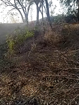 Snapshot of jellydicks chatting on February 21, 2026, 2:02 am jellydicks online show from February 21, 2026, 2:02 am