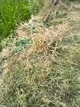 Snapshot of jellydicks chatting on February 28, 2026, 11:54 am jellydicks online show from February 28, 2026, 11:54 am