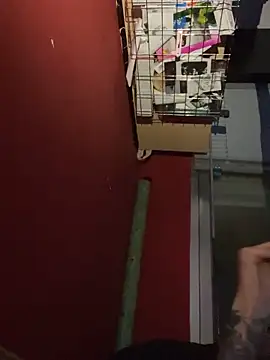 Snapshot of chavito2223 chatting on February 10, 2026, 4:11 am chavito2223 online show from February 10, 2026, 4:11 am