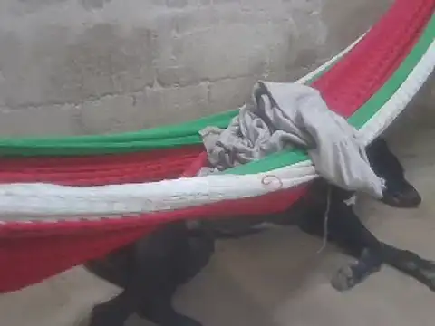 Snapshot of tripexnte chatting on February 16, 2025, 11:28 pm tripexnte online show from February 16, 2025, 11:28 pm