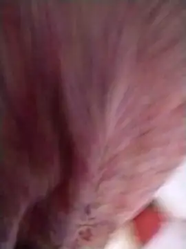 Pushpavathi 78 online show from April 13, 2026, 12:31 pm