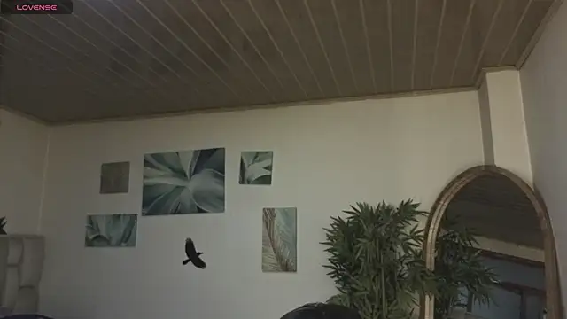 Amy Kiitty  online show from May 17, 2026, 1:22 pm
