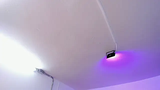 Snapshot of Amy_Kiitty_ chatting on February 15, 2026, 12:59 pm Amy Kiitty online show from February 15, 2026, 12:59 pm