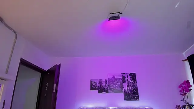 Amy Kiitty  online show from April 4, 2026, 1:17 pm