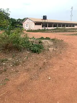 Black mamba madingo online show from February 22, 2025, 3:25 pm