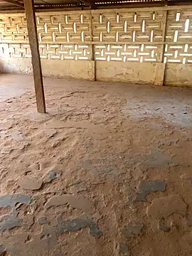 Black mamba madingo online show from March 10, 2025, 10:50 am