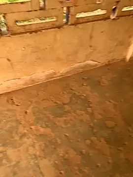 Black mamba madingo online show from December 23, 2024, 2:28 pm