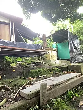 Snapshot of Jestebanano chatting on October 2, 2025, 12:41 pm Jestebanano online show from October 2, 2025, 12:41 pm