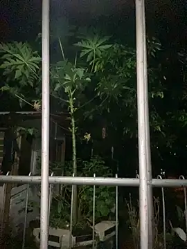 Snapshot of Jestebanano chatting on September 18, 2025, 12:57 am Jestebanano online show from September 18, 2025, 12:57 am