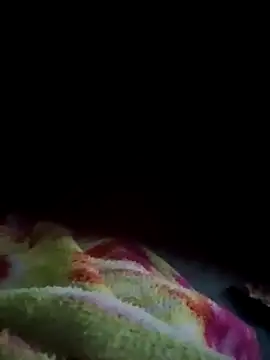 Gujrat player online show from January 22, 2025, 6:41 pm