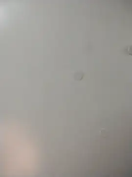 geilerschwanz64 online show from December 22, 2025, 6:41 pm