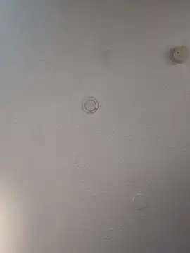 geilerschwanz64 online show from March 21, 2025, 6:05 am