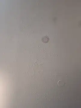 geilerschwanz64 online show from March 12, 2025, 4:46 pm