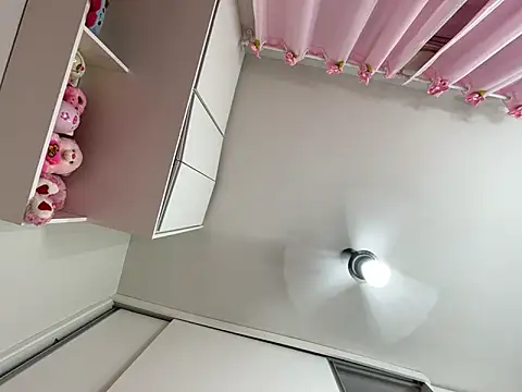 Snapshot of lariic chatting on March 17, 2025, 11:13 pm lariic online show from March 17, 2025, 11:13 pm