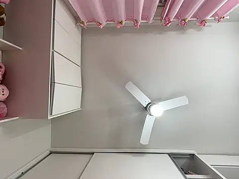 Snapshot of lariic chatting on March 10, 2025, 12:49 pm lariic online show from March 10, 2025, 12:49 pm