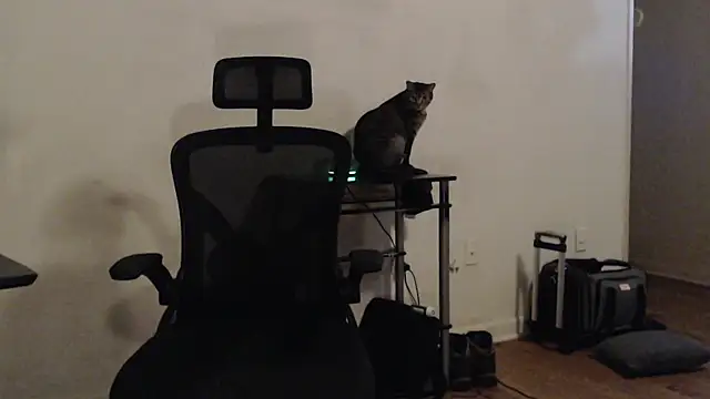 Snapshot of Pilot_Dave_69 chatting on January 18, 2025, 11:21 am Pilot Dave 69 online show from January 18, 2025, 11:21 am