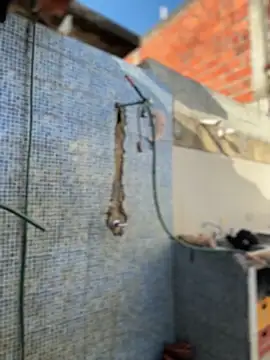 Leo bunny hot online show from February 3, 2026, 8:58 pm