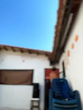 Leo bunny hot online show from February 6, 2026, 7:21 pm