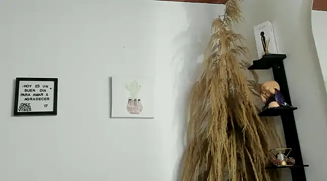 Pamelabru online show from January 14, 2025, 11:37 pm