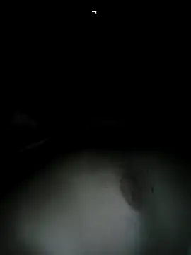 Macanxxx online show from February 7, 2025, 12:42 am