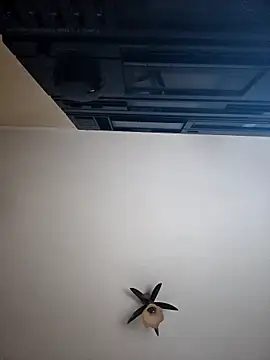 vulpe8400 online show from April 8, 2026, 10:11 pm