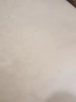 elcobin online show from September 24, 2025, 7:37 am