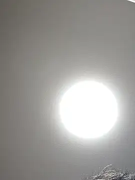 Snapshot of 53kkkkkk chatting on October 30, 2025, 2:58 pm 53kkkkkk online show from October 30, 2025, 2:58 pm