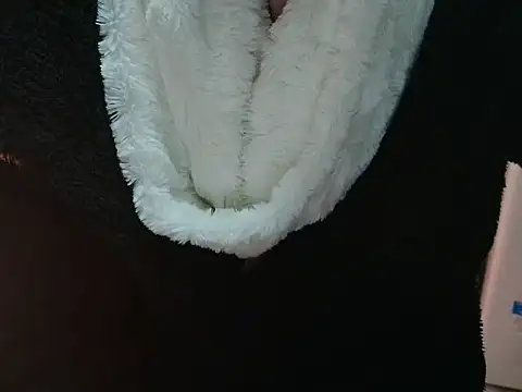 VeneRed online show from March 31, 2026, 6:10 pm