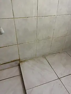 diege72 online show from October 27, 2025, 4:19 pm