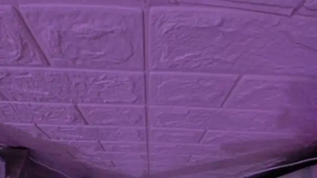 gabyye capprins online show from November 15, 2025, 11:53 pm