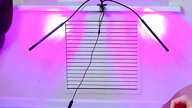 CarolGiggly online show from November 16, 2025, 8:41 am