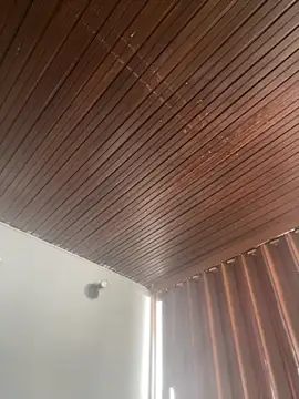 Praga Pink online show from March 3, 2026, 2:13 pm