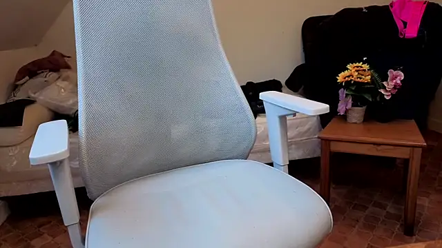 Snapshot of SteveStiffbone chatting on February 16, 2026, 2:37 pm SteveStiffbone online show from February 16, 2026, 2:37 pm