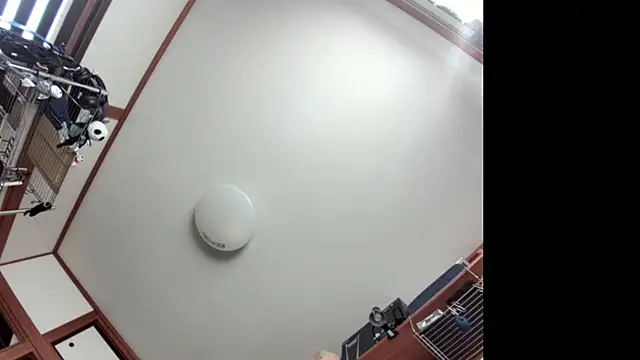 Snapshot of tuki_fu chatting on December 8, 2024, 3:07 am tuki fu online show from December 8, 2024, 3:07 am