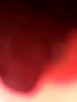 Virgin Pussy Love online show from August 4, 2026, 4:00 pm