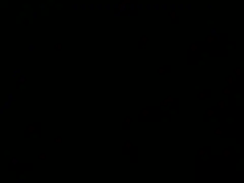 culalimer online show from September 9, 2025, 7:51 am