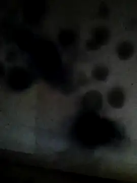 Snapshot of Leocesar37 chatting on February 10, 2026, 6:01 am Leocesar37 online show from February 10, 2026, 6:01 am