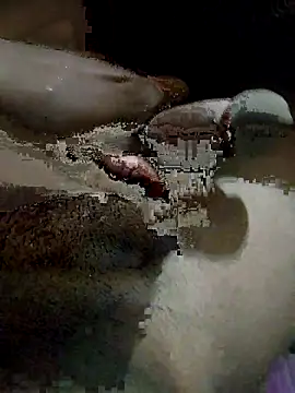 Snapshot of pusssyhub chatting on December 4, 2025, 10:31 pm pusssyhub online show from December 4, 2025, 10:31 pm