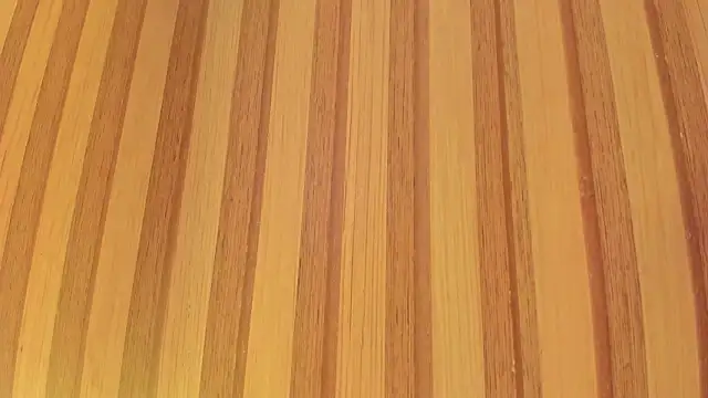 Snapshot of Taylor__cooper chatting on February 2, 2026, 6:29 pm Taylor cooper online show from February 2, 2026, 6:29 pm