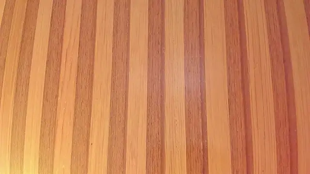 Snapshot of Taylor__cooper chatting on February 27, 2026, 6:41 pm Taylor cooper online show from February 27, 2026, 6:41 pm