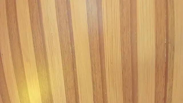 Snapshot of Taylor__cooper chatting on February 7, 2026, 6:38 pm Taylor cooper online show from February 7, 2026, 6:38 pm