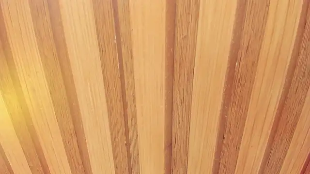 Snapshot of Taylor__cooper chatting on February 18, 2026, 6:37 pm Taylor cooper online show from February 18, 2026, 6:37 pm