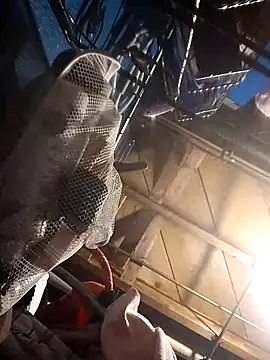 Snapshot of Whipit323 chatting on December 22, 2024, 5:42 pm Whipit323 online show from December 22, 2024, 5:42 pm