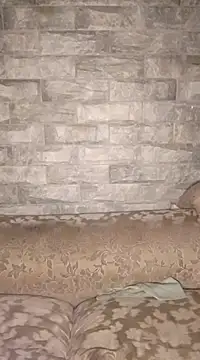 Ras and Stewf online show from February 22, 2025, 7:03 pm