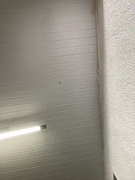 luara1988 online show from October 23, 2025, 10:58 am