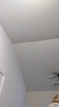 Snapshot of Playmate86 chatting on December 2, 2024, 5:32 am Playmate86 online show from December 2, 2024, 5:32 am