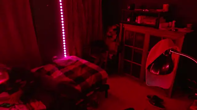 Snapshot of _______the chatting on December 17, 2025, 10:20 am the online show from December 17, 2025, 10:20 am