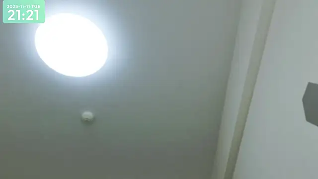 -SHIZUKU- online show from November 11, 2025, 12:22 pm